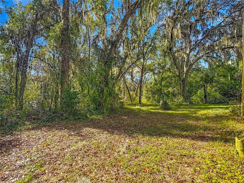 22380 Powell Road Brooksville, FL 34602 - Photo 33 of 46 Gallery Image 33