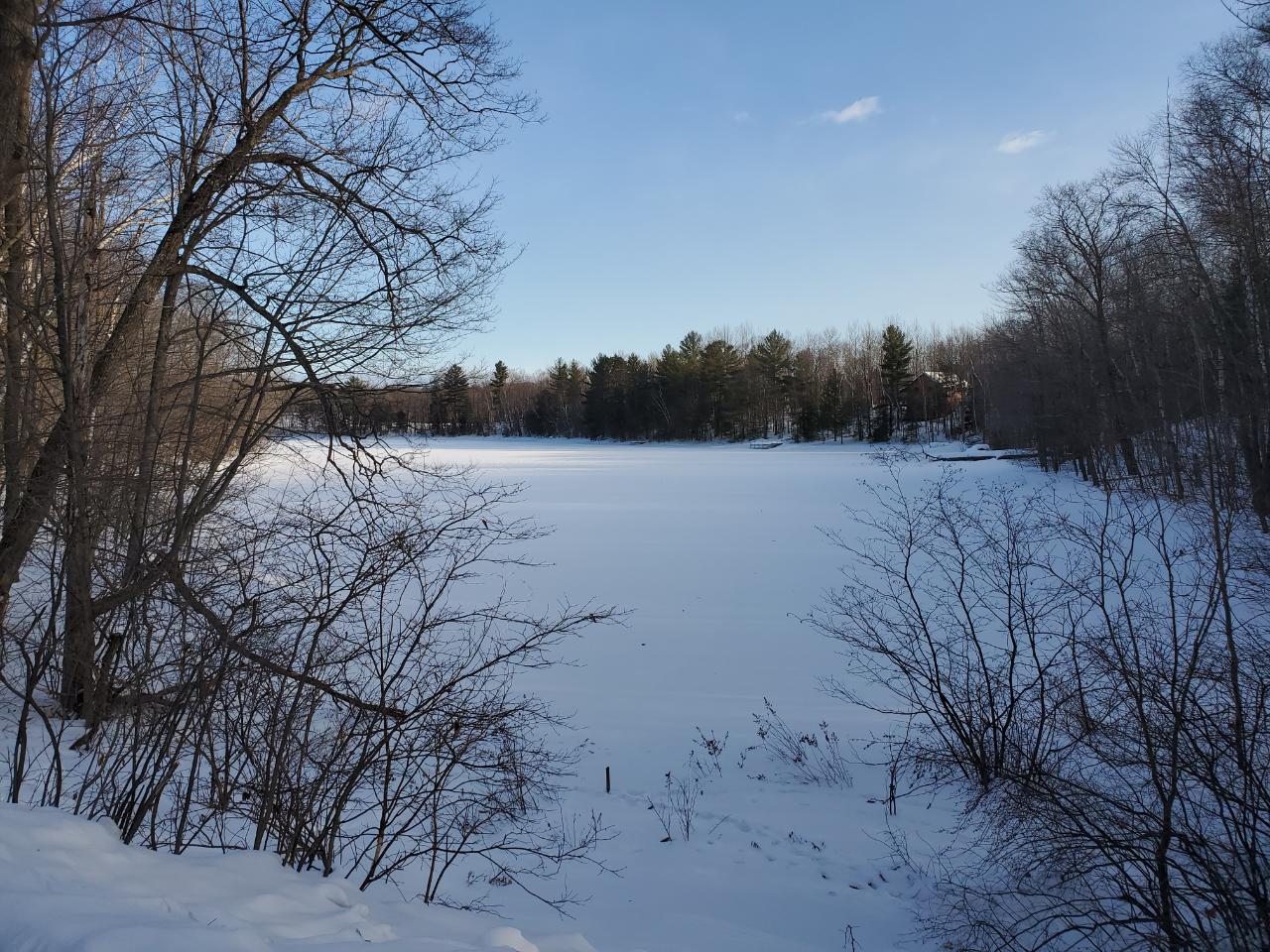 Lot 6 Shore Road Summit Lake, WI 54485 - Photo 1 of 4 Gallery Image 1