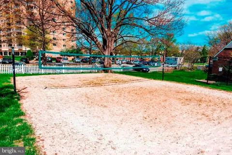 a view of a park with large trees