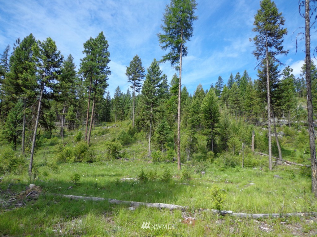 -tbd Tbd Eddy Road Republic, WA 99166 - Photo 1 of 6