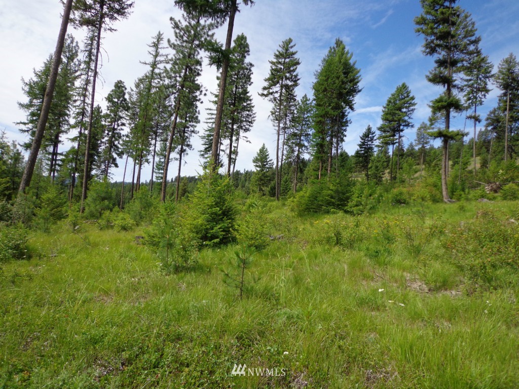 -tbd Tbd Eddy Road Republic, WA 99166 - Photo 2 of 6