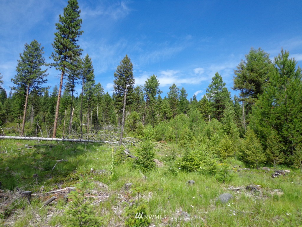 -tbd Tbd Eddy Road Republic, WA 99166 - Photo 3 of 6