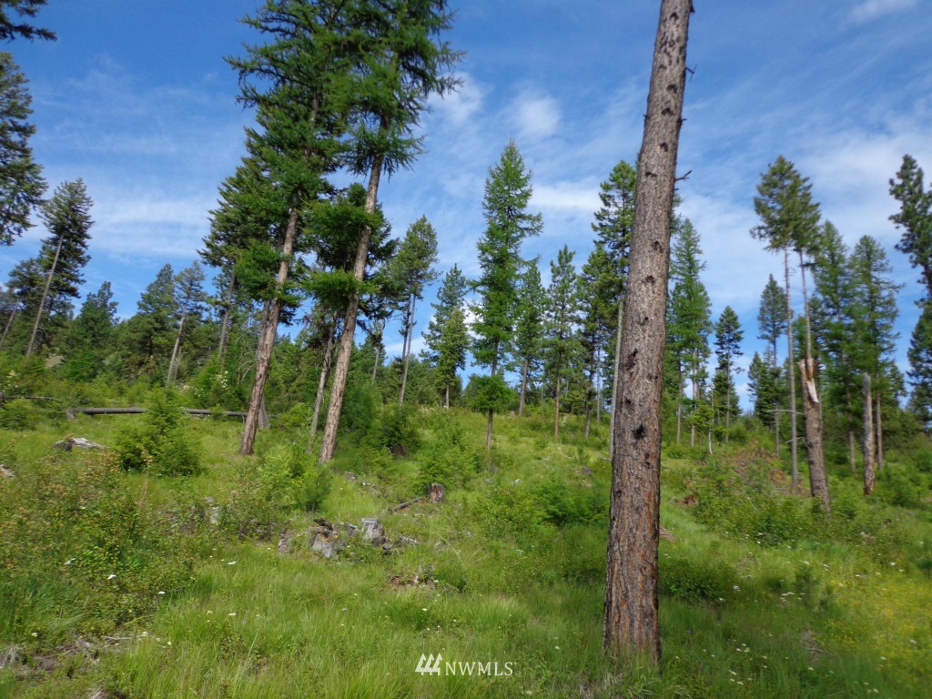 -tbd Tbd Eddy Road Republic, WA 99166 - Photo 4 of 6