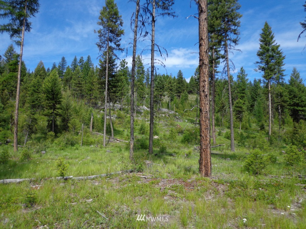 -tbd Tbd Eddy Road Republic, WA 99166 - Photo 6 of 6