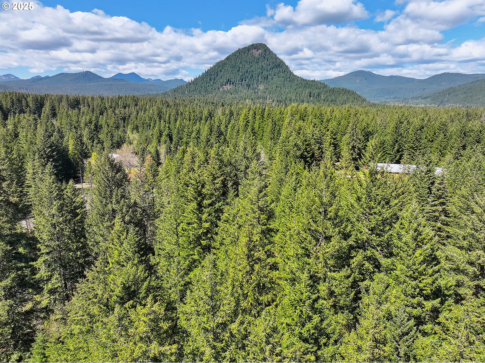 Foster Road Carson, WA 98610 - Photo 11 of 13 Gallery Image 11