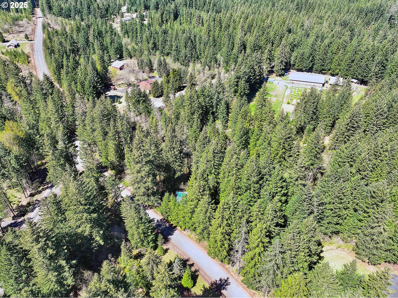 Foster Road Carson, WA 98610 - Photo 12 of 13 Gallery Image 12