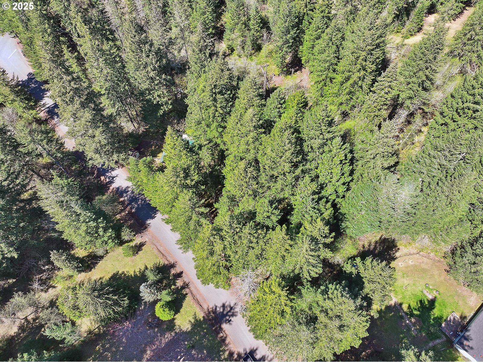 Foster Road Carson, WA 98610 - Photo 13 of 13 Gallery Image 13