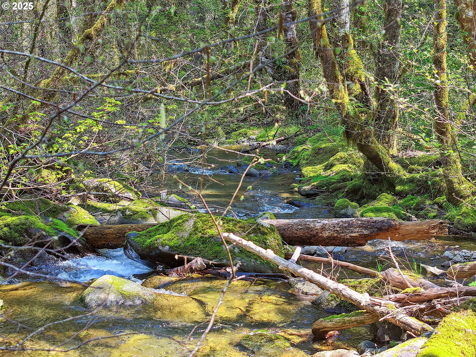 Foster Road Carson, WA 98610 - Photo 2 of 13 Gallery Image 2