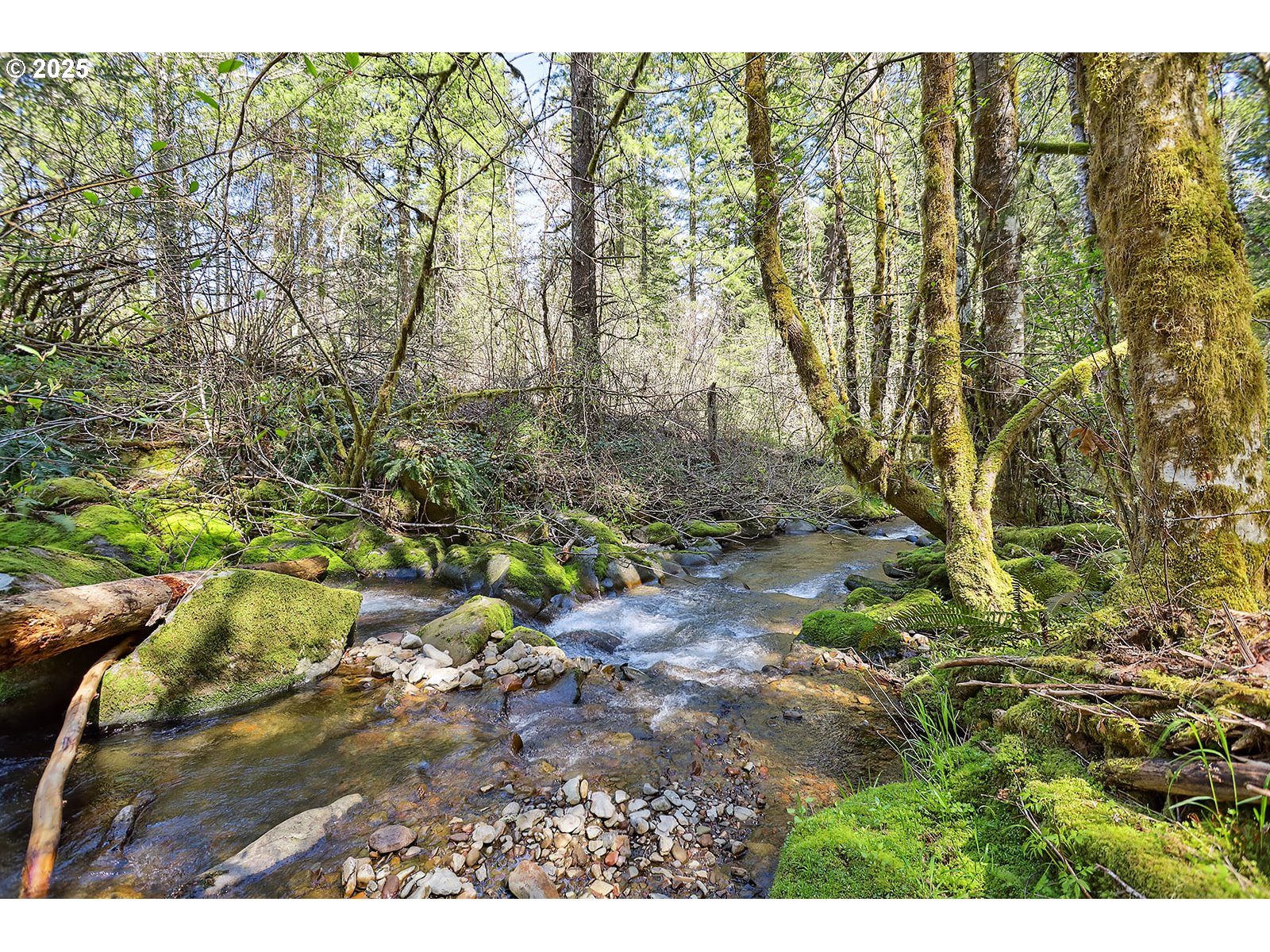 Foster Road Carson, WA 98610 - Photo 3 of 13 Gallery Image 3