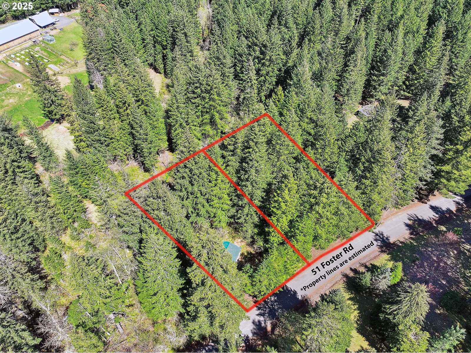 Foster Road Carson, WA 98610 - Photo 10 of 13 Gallery Image 10