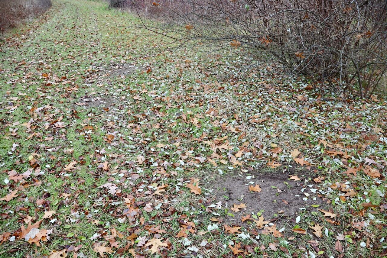 Hatton Road Farwell, MI 48622 - Photo 14 of 78 Gallery Image 14