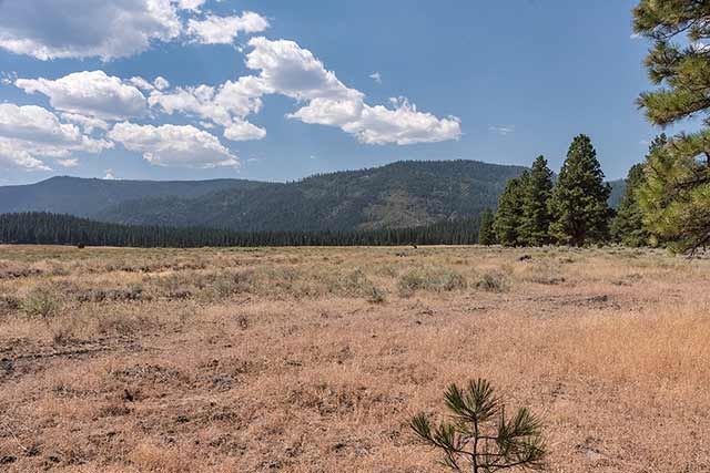89 Highway 89 Calpine, CA 96124 - Photo 6 of 14 Gallery Image 6
