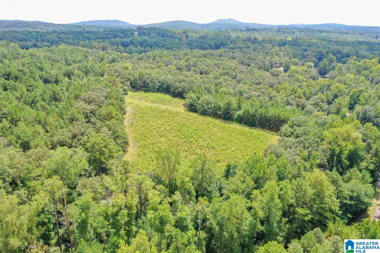 378 Old Mill Road Blountsville, AL 35031 - Photo 9 of 10