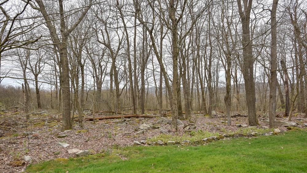 1843 Eagles Ridge Way Hidden Valley, PA 15502 - Photo 19 of 25 Gallery Image 19