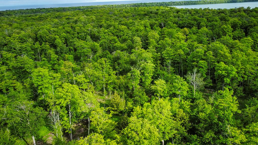 Tbd Lot4 Isle View Road Ellison Bay, WI 54210 - Photo 14 of 20