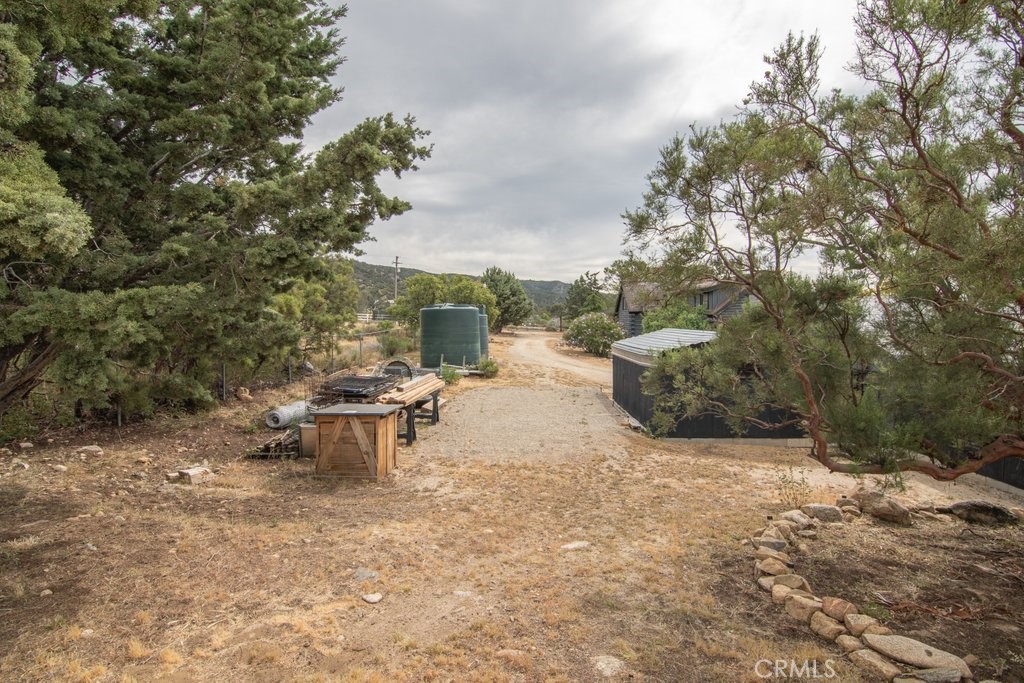 37325 Bohlen Road Anza, CA 92539 - Photo 29 of 43 a view of a fire pit with large trees
