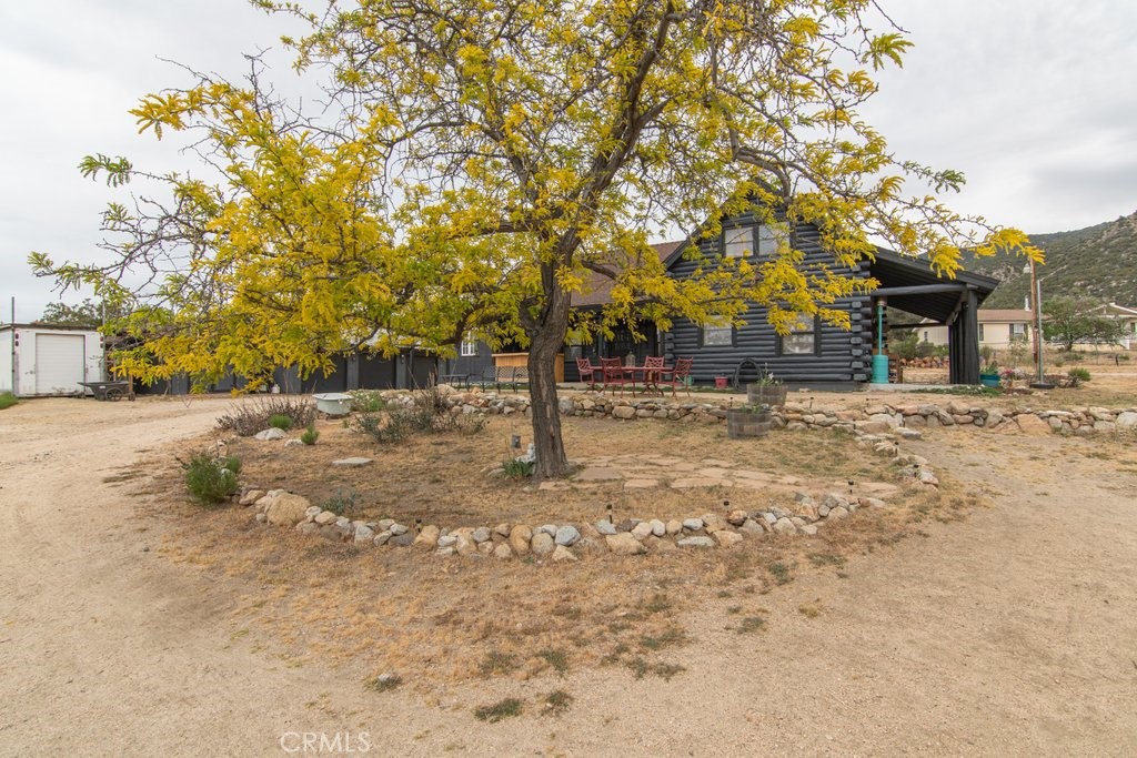 37325 Bohlen Road Anza, CA 92539 - Photo 3 of 43 a view of road with trees