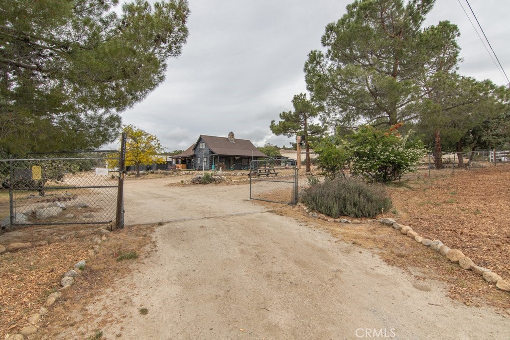 37325 Bohlen Road Anza, CA 92539 - Photo 4 of 43 a row of road with trees