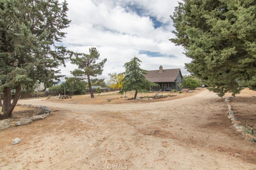 37325 Bohlen Road Anza, CA 92539 - Photo 7 of 43 a view of a yard with large trees