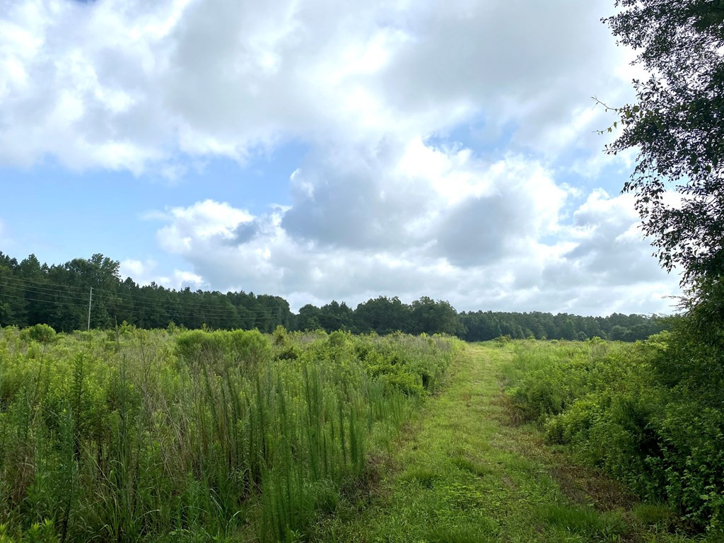 0 Southeast Fox Roxie, MS 39661 - Photo 15 of 22 Photo 15