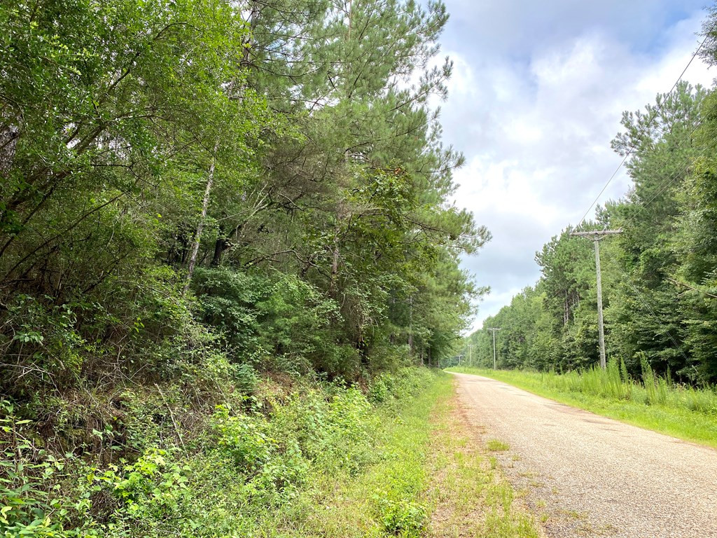0 Southeast Fox Roxie, MS 39661 - Photo 16 of 22 Photo 16