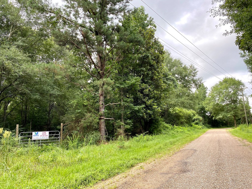 0 Southeast Fox Roxie, MS 39661 - Photo 2 of 22 Photo 2