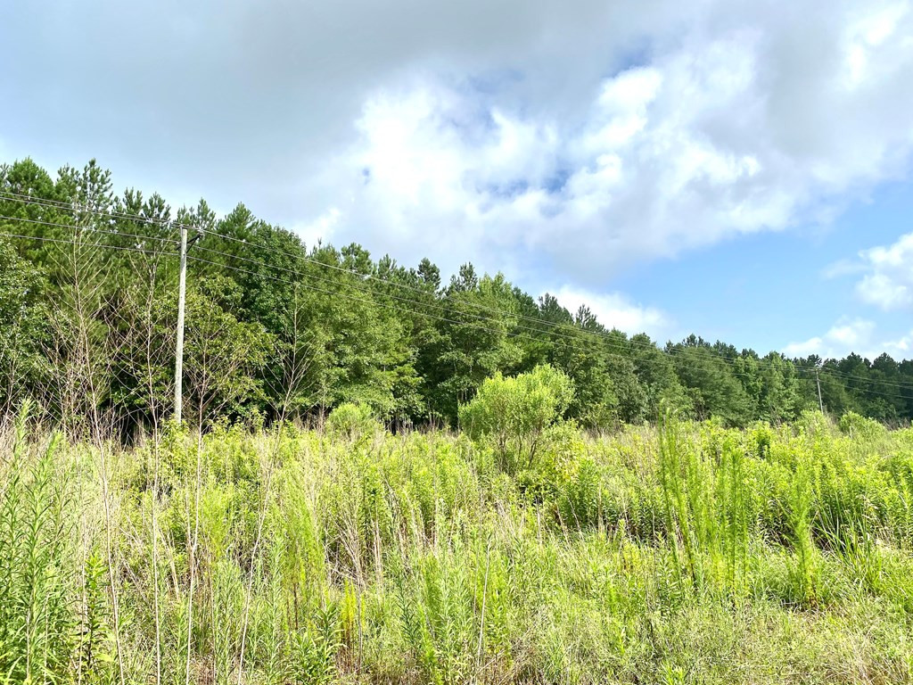 0 Southeast Fox Roxie, MS 39661 - Photo 21 of 22 Photo 24