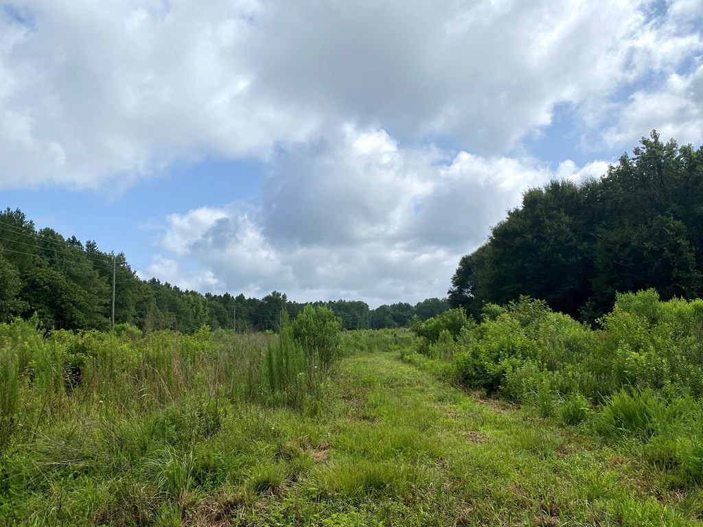 0 Southeast Fox Roxie, MS 39661 - Photo 22 of 22 Photo 25