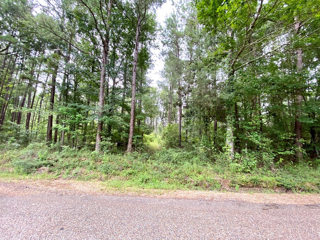 0 Southeast Fox Roxie, MS 39661 - Photo 4 of 22 Photo 4