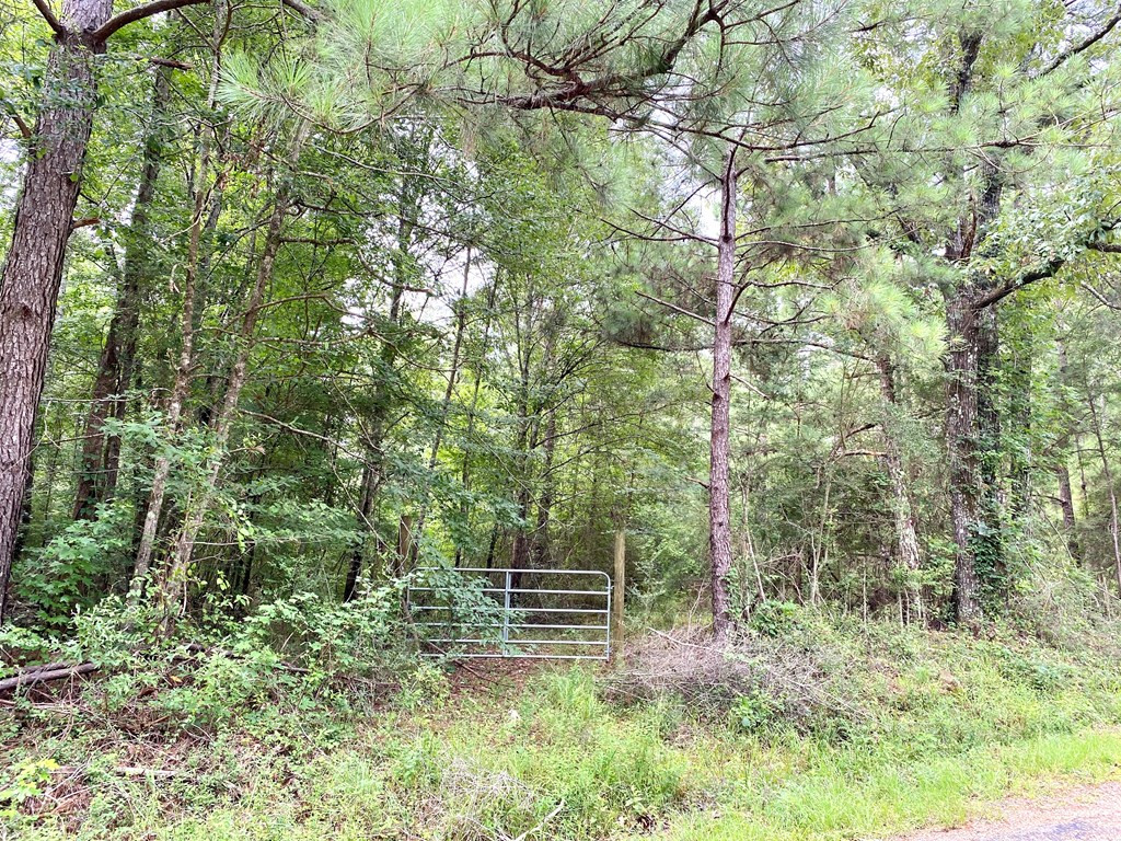 0 Southeast Fox Roxie, MS 39661 - Photo 7 of 22 Photo 7