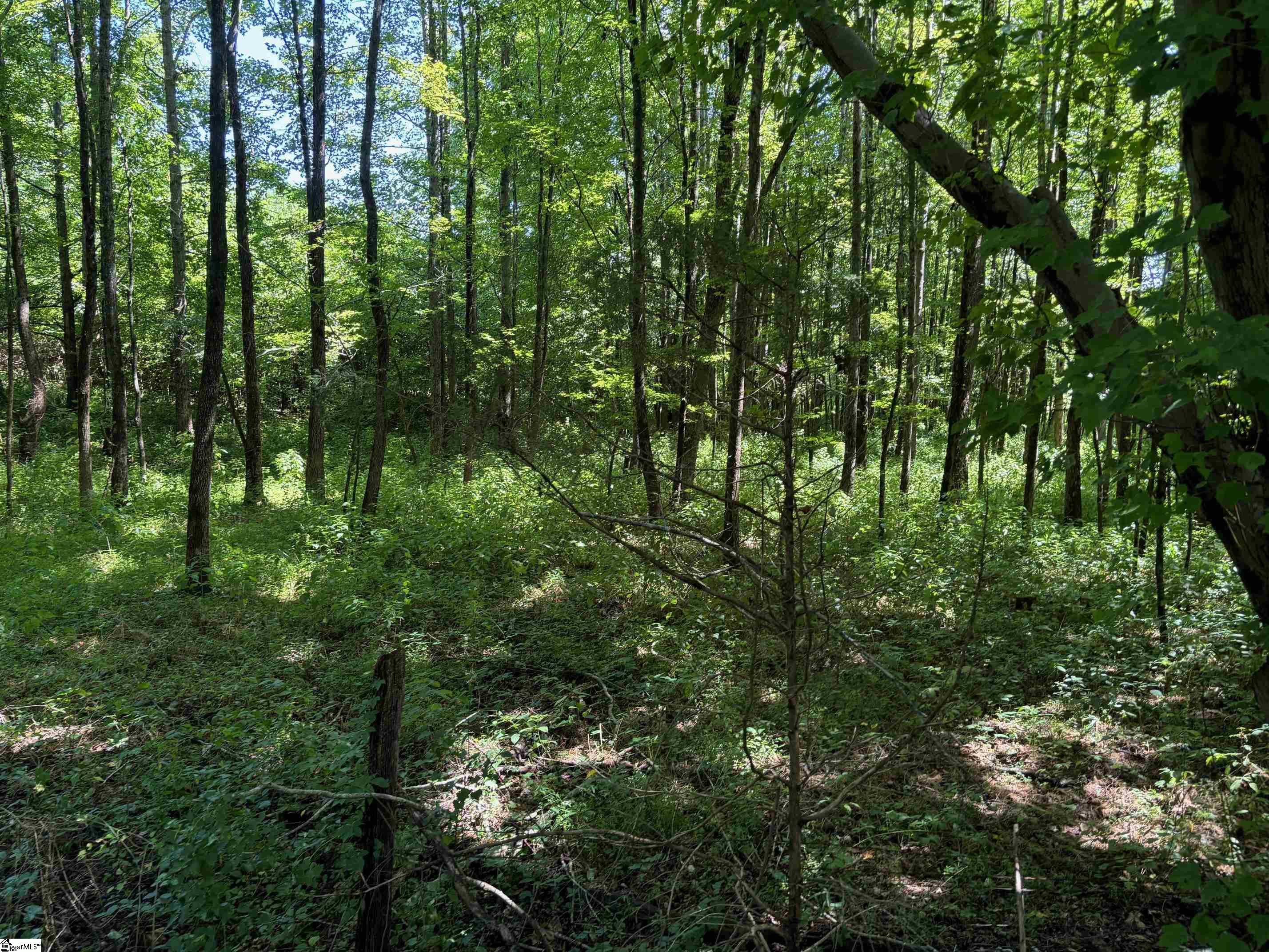 0 Howe Road, Unit LOT C Greer, SC 29651 - Photo 11 of 12