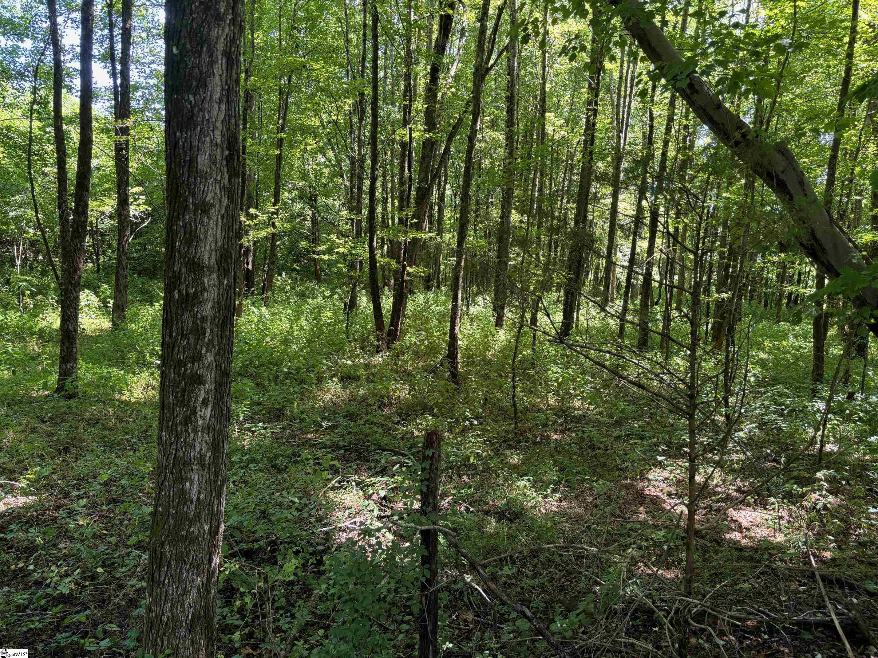 0 Howe Road, Unit LOT C Greer, SC 29651 - Photo 12 of 12