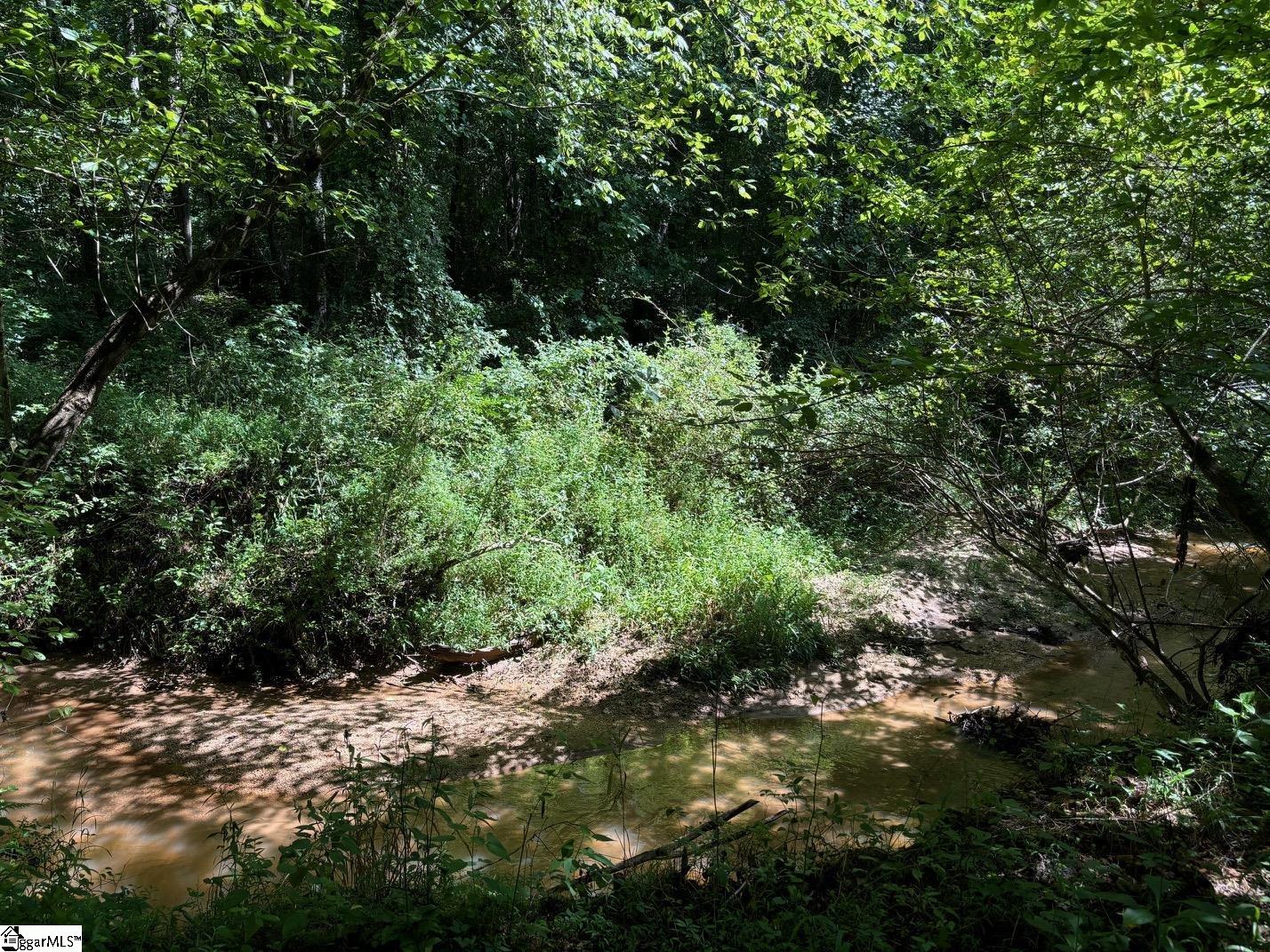 0 Howe Road, Unit LOT C Greer, SC 29651 - Photo 8 of 12