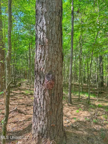 $579,000 | 700 Rathell Road, Lexington, MS 39095