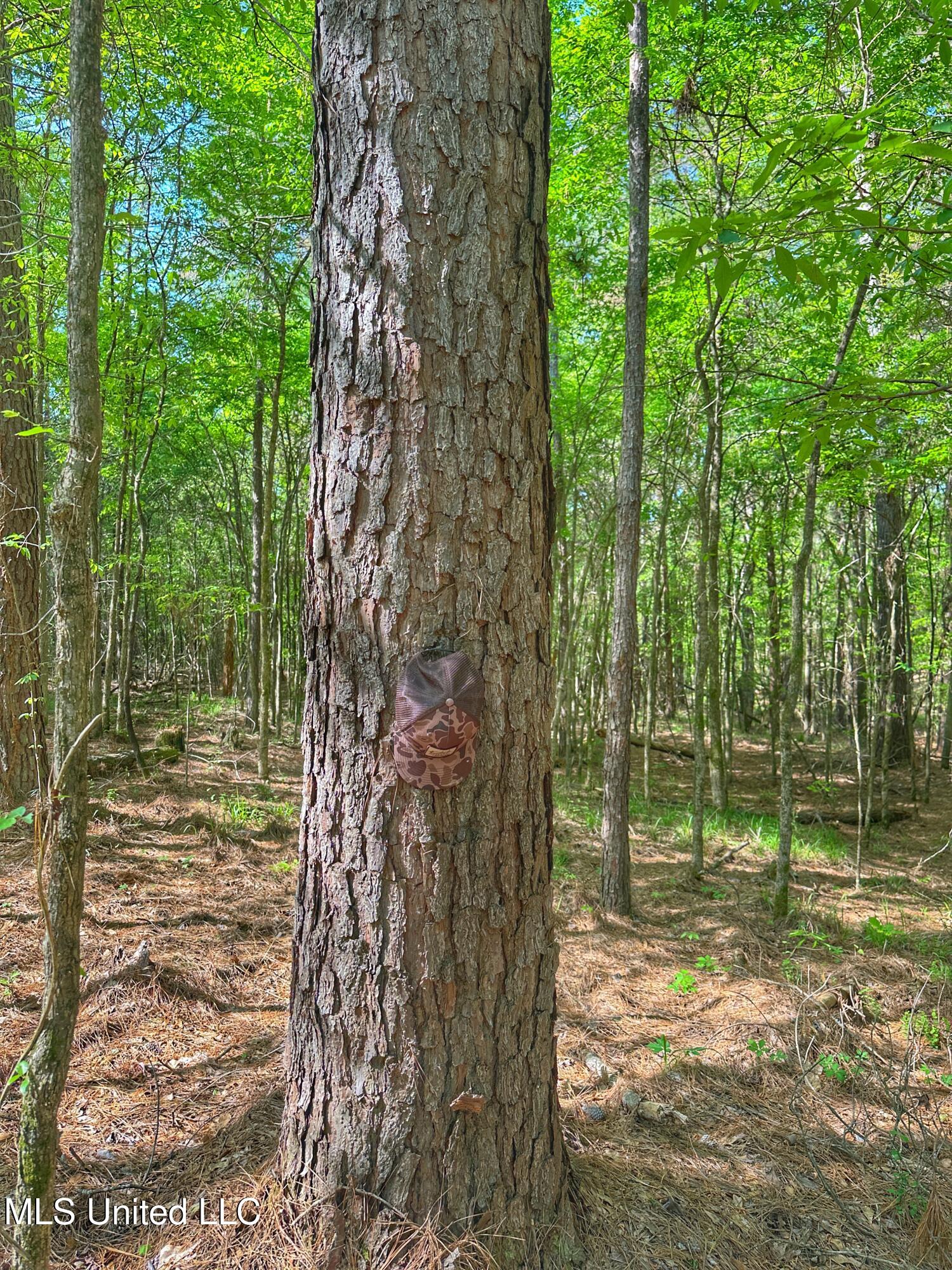 700 Rathell Road Lexington, MS 39095 - Photo 36 of 56 IMG_0330