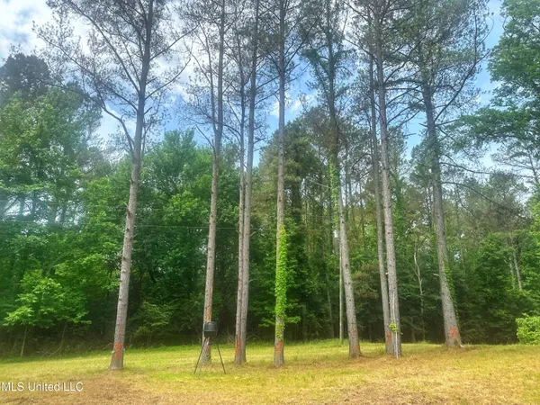 $579,000 | 700 Rathell Road, Lexington, MS 39095