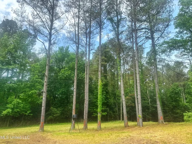 $579,000 | 700 Rathell Road, Lexington, MS 39095