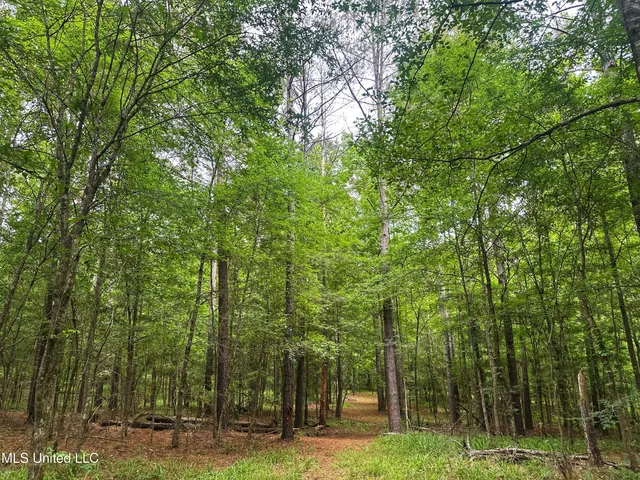 $579,000 | 700 Rathell Road, Lexington, MS 39095