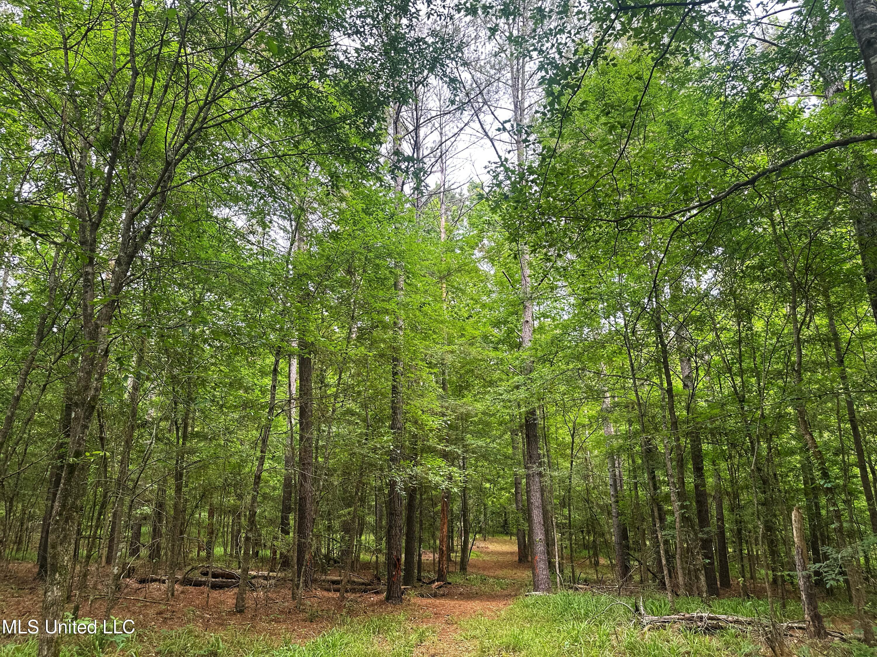 700 Rathell Road Lexington, MS 39095 - Photo 40 of 56 IMG_4109