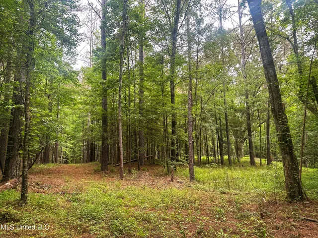 $579,000 | 700 Rathell Road, Lexington, MS 39095