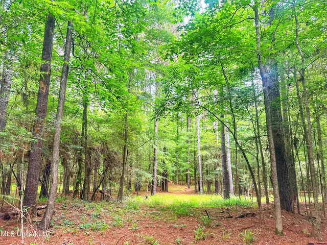 $579,000 | 700 Rathell Road, Lexington, MS 39095