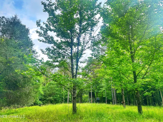 $579,000 | 700 Rathell Road, Lexington, MS 39095