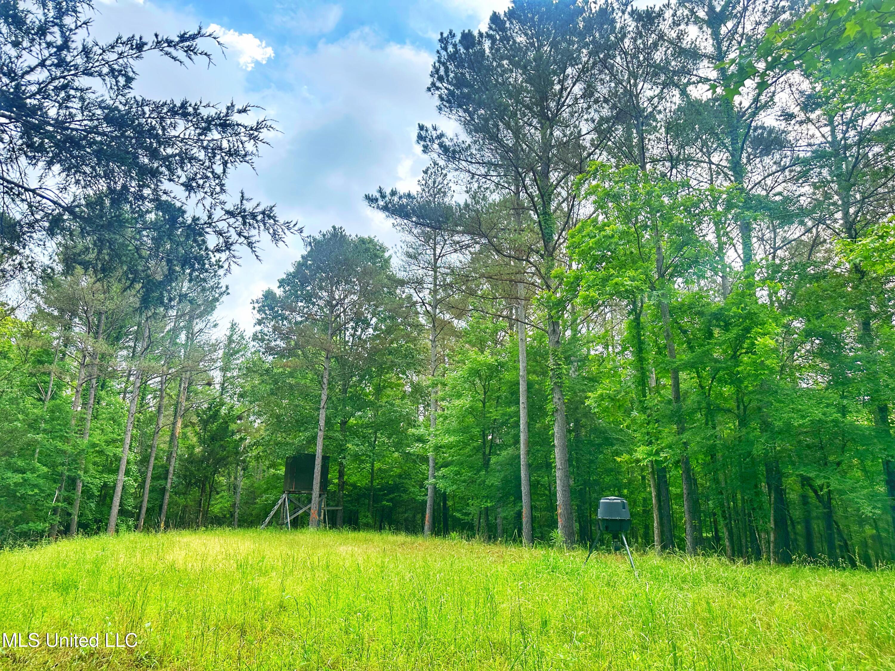 700 Rathell Road Lexington, MS 39095 - Photo 44 of 56 IMG_4126