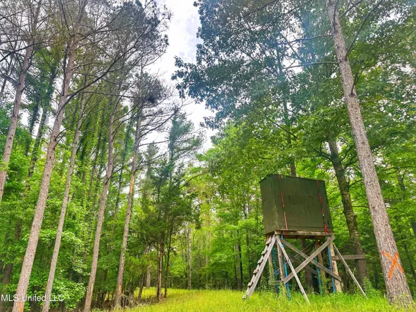 $579,000 | 700 Rathell Road, Lexington, MS 39095