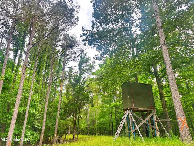 $579,000 | 700 Rathell Road, Lexington, MS 39095