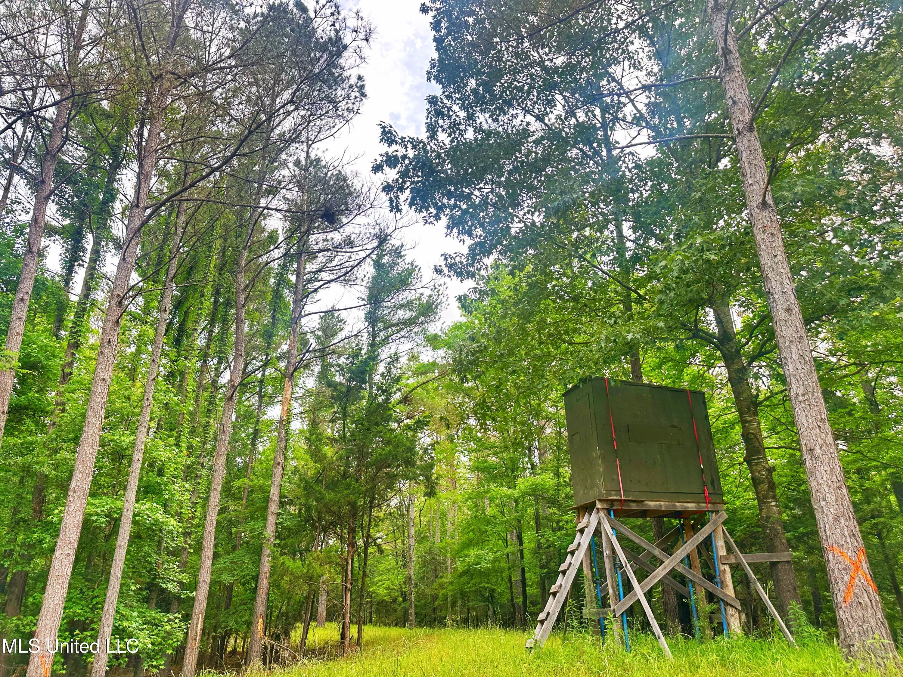 700 Rathell Road Lexington, MS 39095 - Photo 45 of 56 IMG_4127