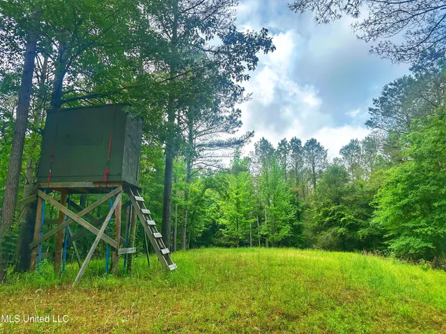 $579,000 | 700 Rathell Road, Lexington, MS 39095