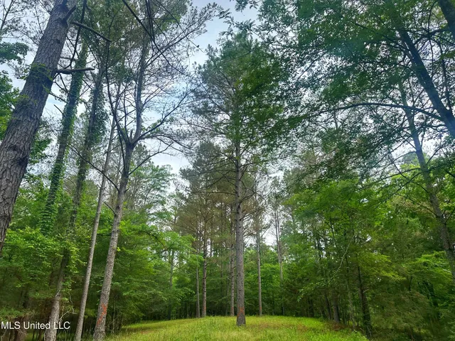 $579,000 | 700 Rathell Road, Lexington, MS 39095