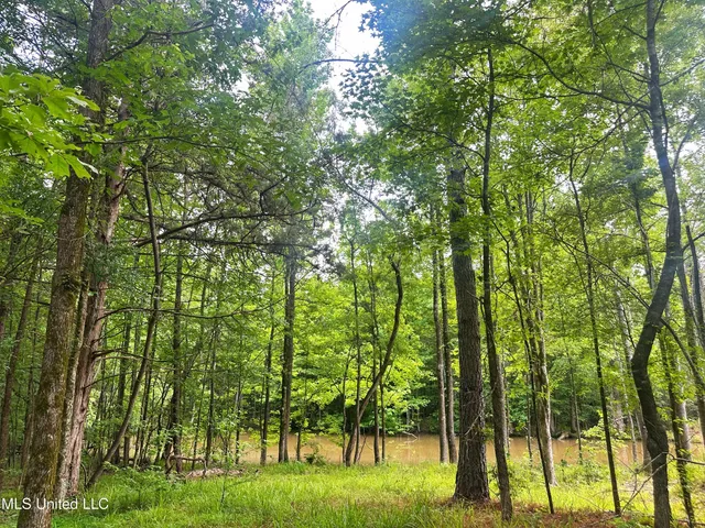 $579,000 | 700 Rathell Road, Lexington, MS 39095