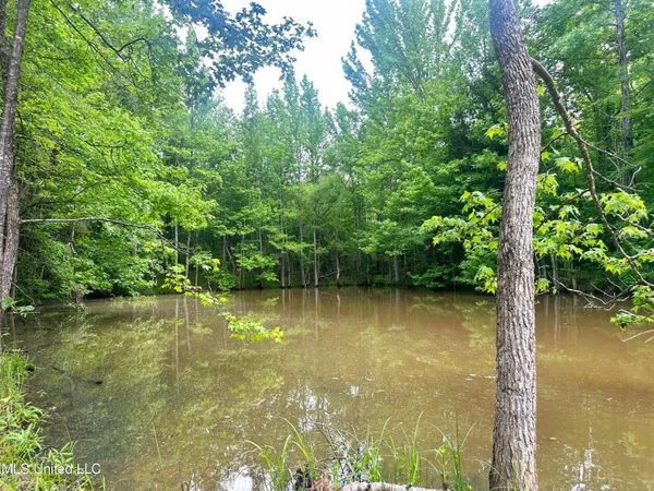 $579,000 | 700 Rathell Road, Lexington, MS 39095